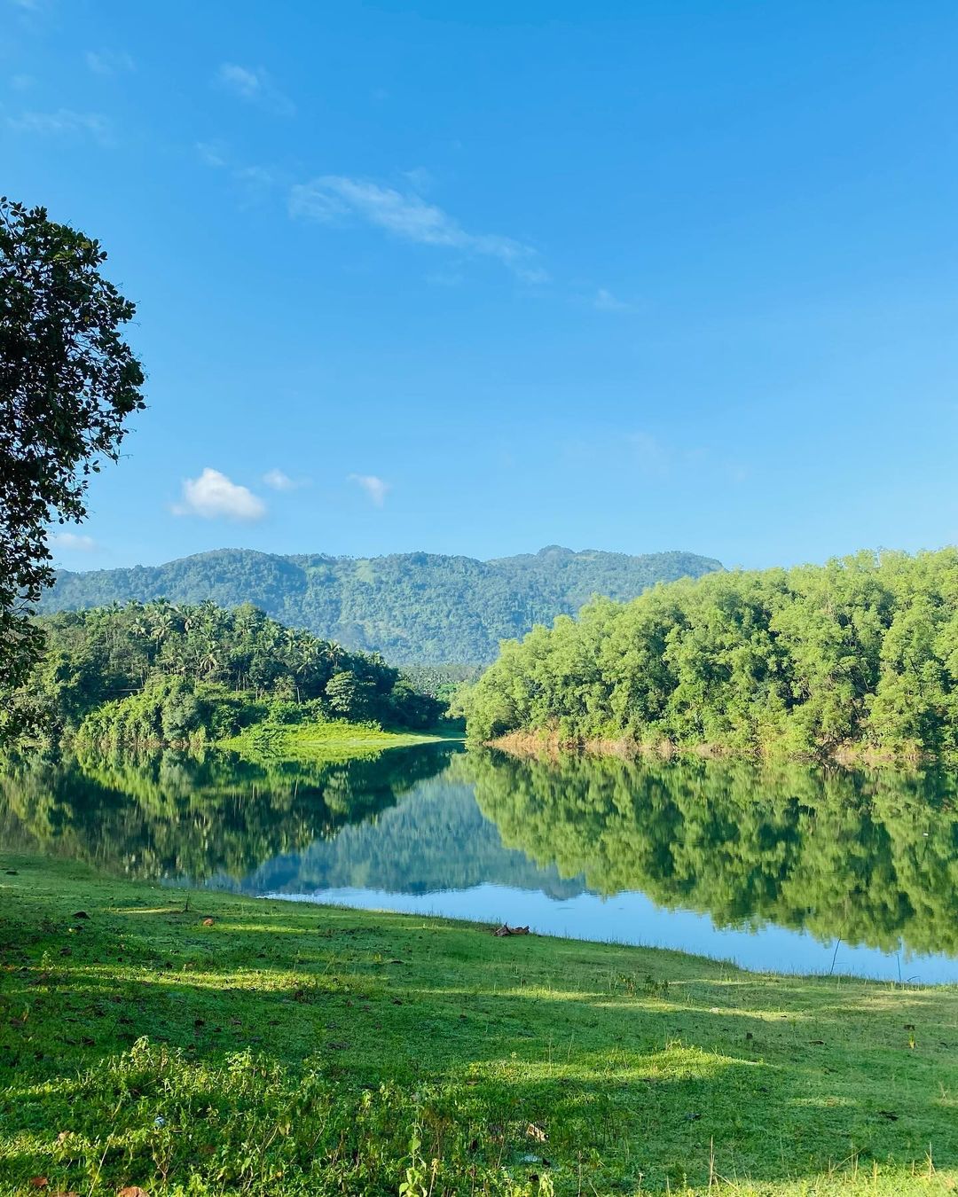 Beautiful view of Kariyathumpara resort surroundings